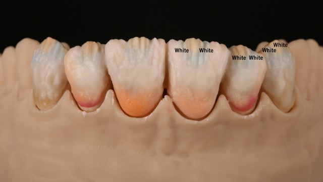 Apply white