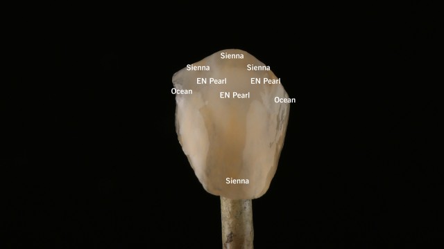 Internal staining